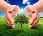 Экология логотип: стоковые картинки, бесплатные, роялти-фри фото Экология  логотип | Depositphotos